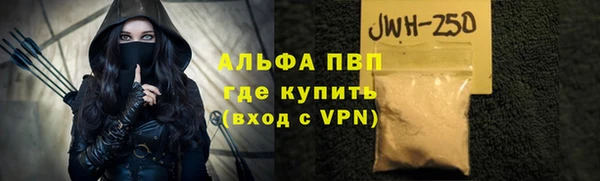 гидра Майский
