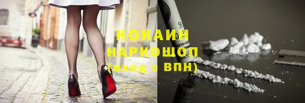 PSILOCYBIN Магас