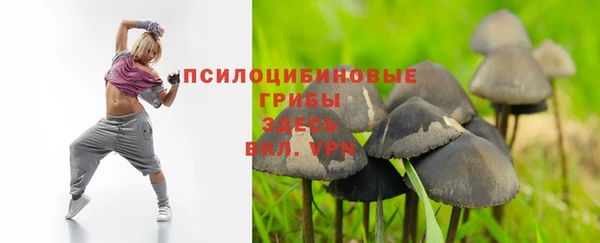 гидра Майский
