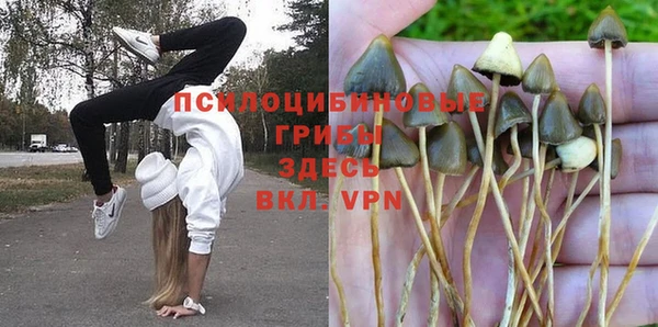 PSILOCYBIN Магас